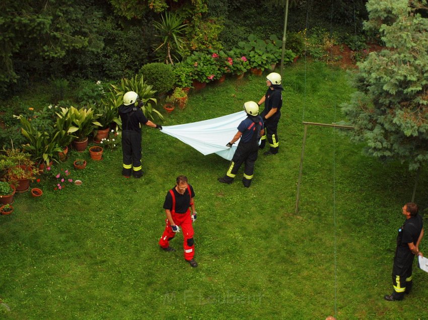 Katzenrettung Koeln Holweide Bergisch Gladbacherstr P33.JPG